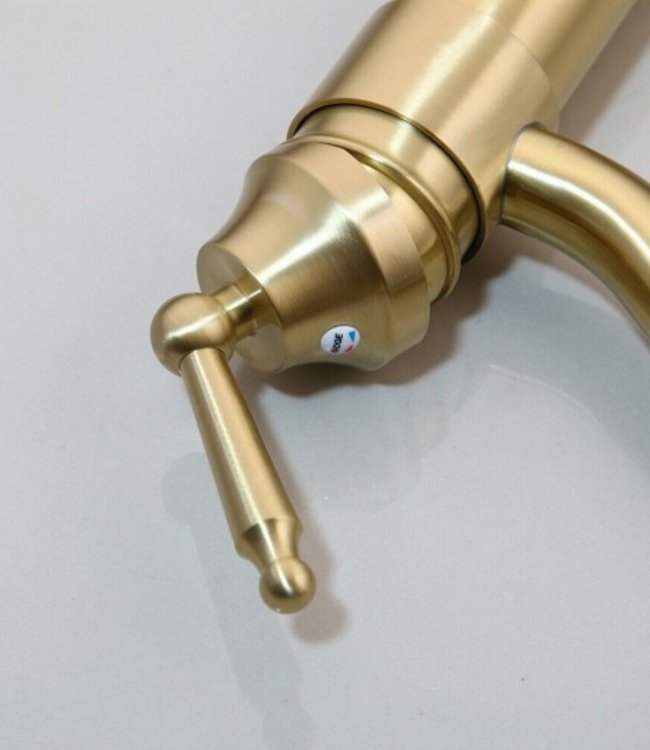 Rene Houtman Geborsteld Gouden Kraan