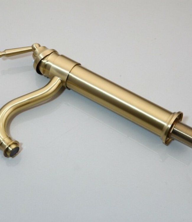 Rene Houtman Geborsteld Gouden Kraan