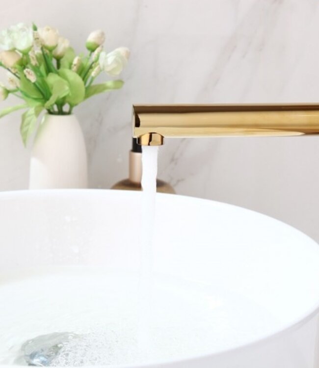 Rene Houtman Goudkleurige Wastafelkraan met Zwenkbare Uitloop