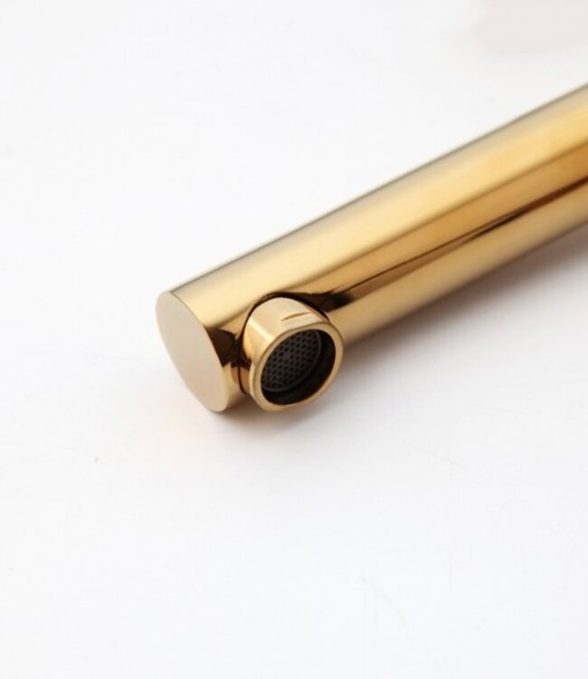 Rene Houtman Goudkleurige Wastafelkraan met Zwenkbare Uitloop