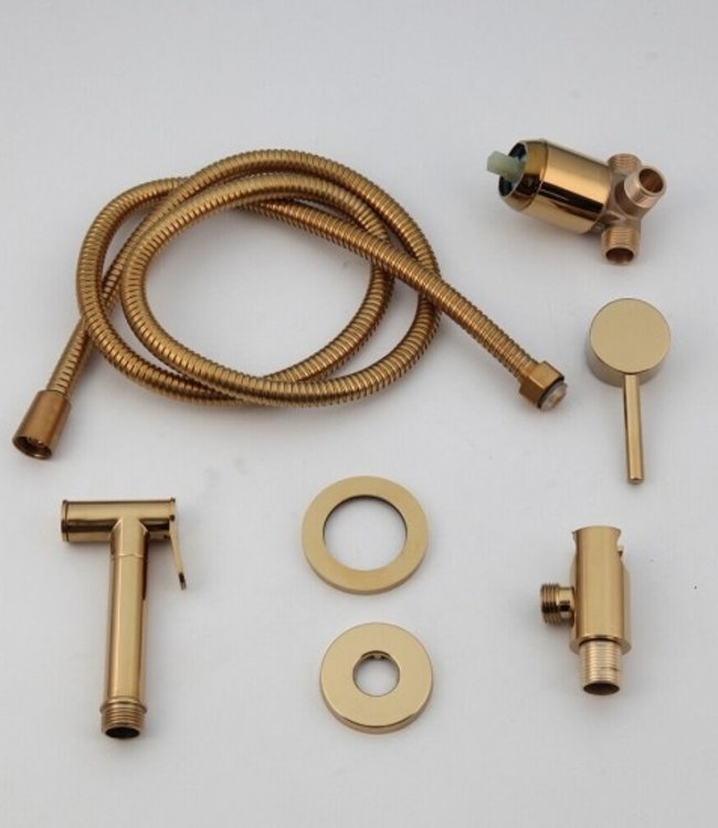 Rene Houtman Goudkleurige Bidet Sproeier