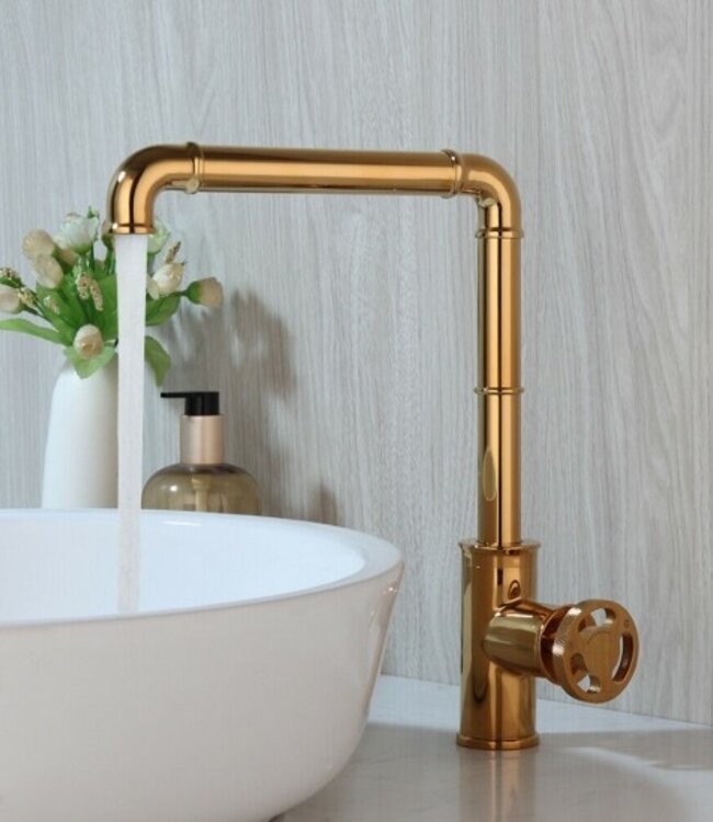 Rene Houtman Industriële Gouden Kraan