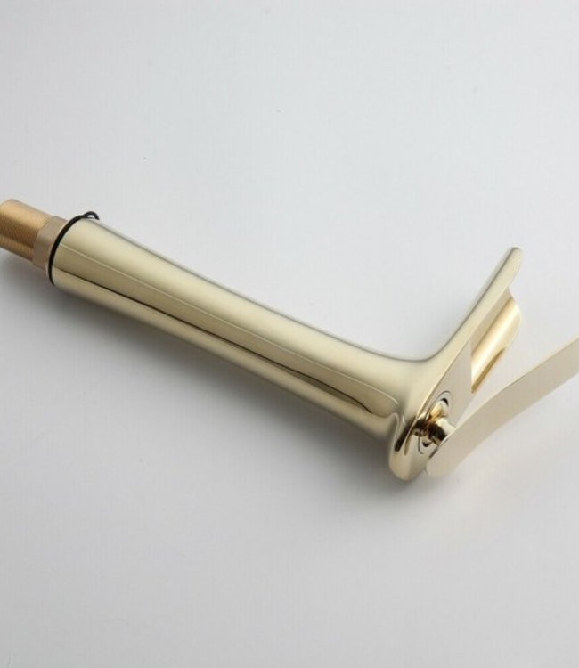 Rene Houtman Hoge Gouden Mengkraan