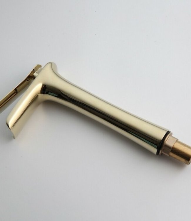 Rene Houtman Hoge Gouden Mengkraan