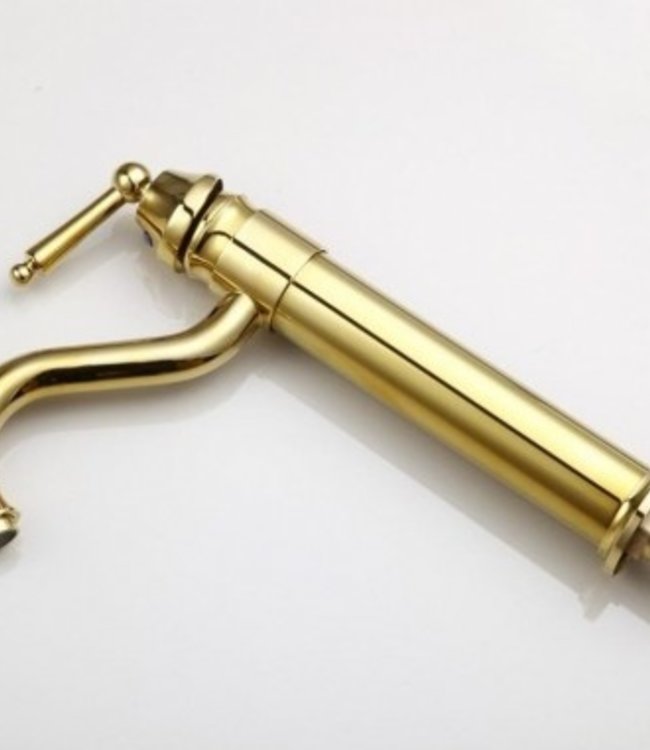 Rene Houtman Landelijke Gouden Kraan