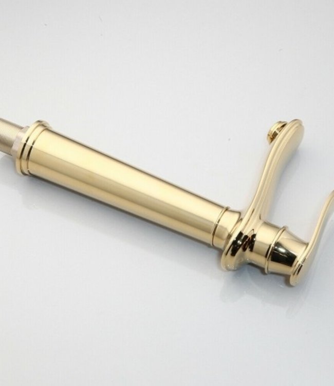 Rene Houtman Gepolijste Gouden Kraan