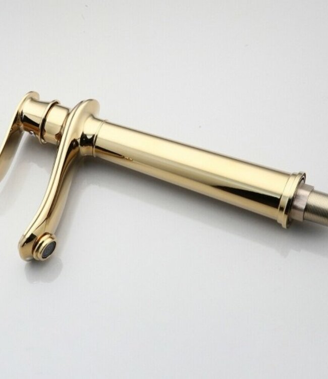 Rene Houtman Gepolijste Gouden Kraan