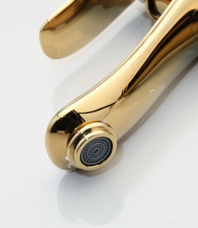 Rene Houtman Gouden Mengkraan