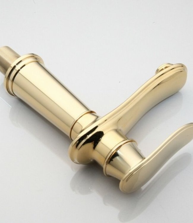 Rene Houtman Gouden Mengkraan