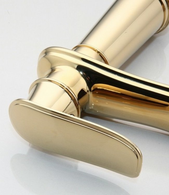 Rene Houtman Gouden Mengkraan