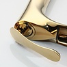 Rene Houtman Elegante Gouden Kraan Rene Houtman Elegante Gouden Kraan