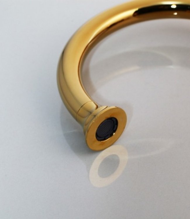 Rene Houtman Hoge Goudkleurige Kraan