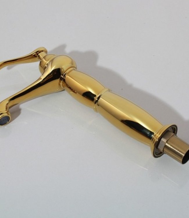 Rene Houtman Gouden Kraan - Hoog Model