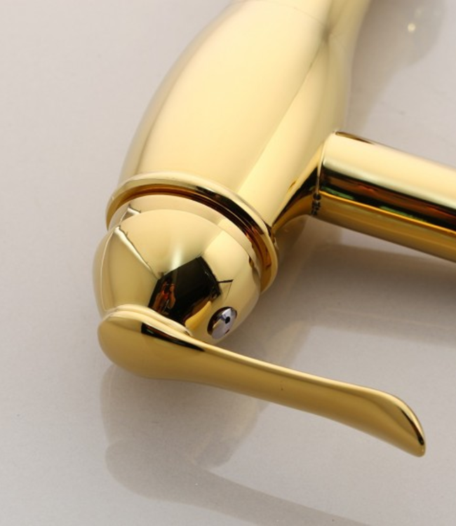 Rene Houtman Goudkleurige Wastafelkraan