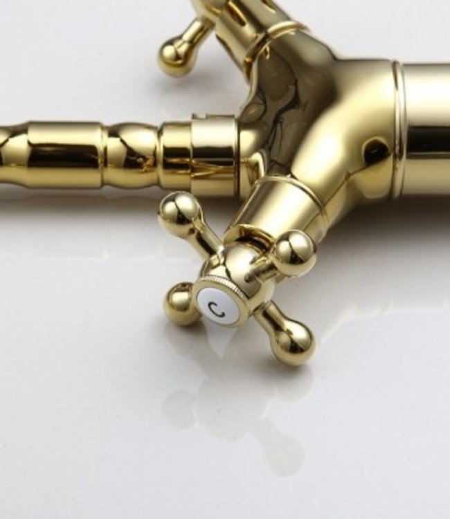 Rene Houtman Landelijke Wastafelkraan - Goud - Hoog model