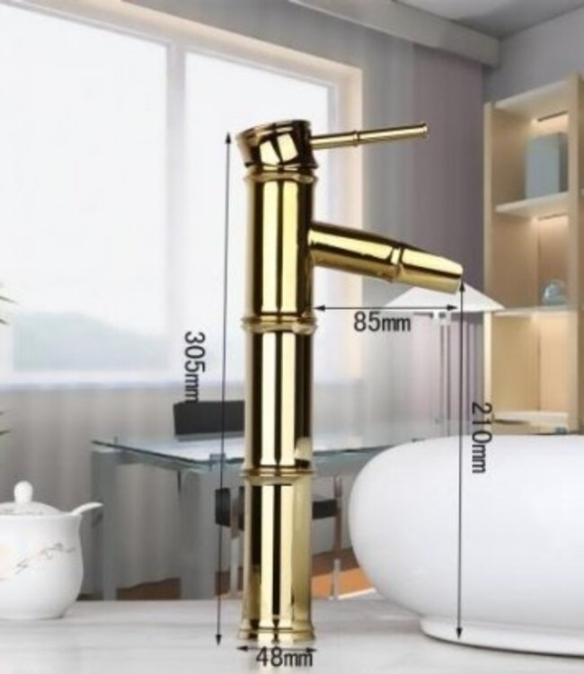 Rene Houtman Bamboo Stijl Wastafelkraan - Goud