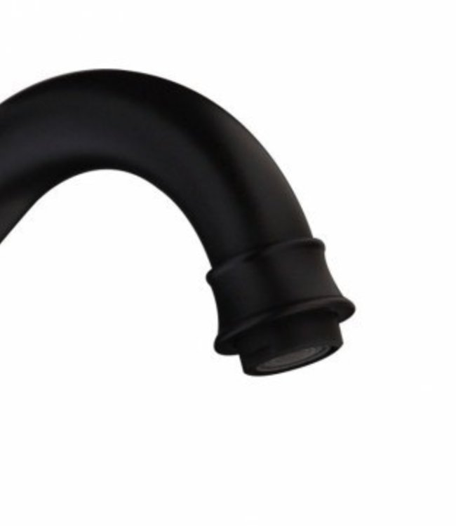 Rene Houtman Olie Bronzen Wastafelkraan