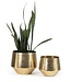 Bazar Bizar De Hammered Planter - Plantenbak - Messing - XL