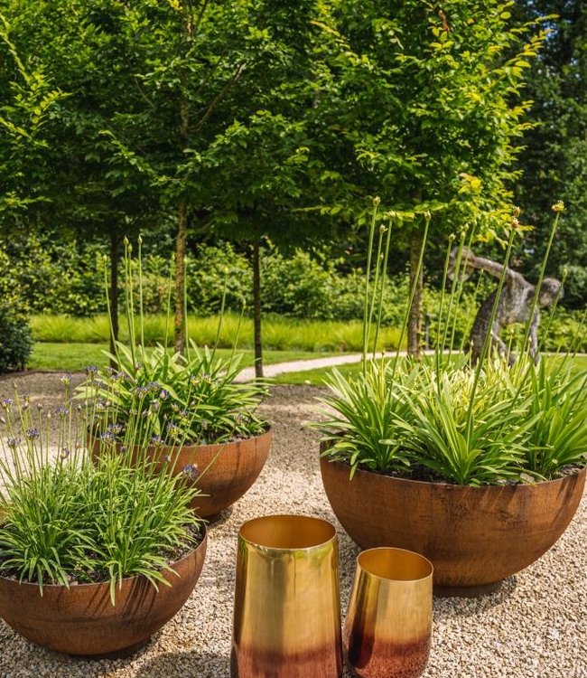 Bazar Bizar The Two Tone Plantenbak - Messing - L