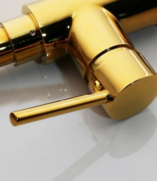 Rene Houtman Gouden Keukenkraan