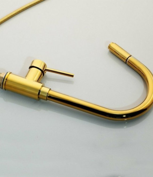 Rene Houtman Gouden Keukenkraan