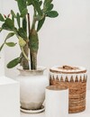 Bazar Bizar The Tribe Kruk - Naturel/Wit