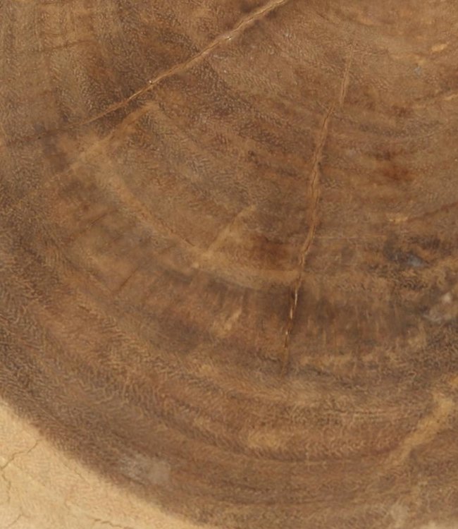 Bazar Bizar The Tribe Kruk - Naturel/Wit