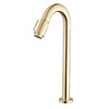 Victoria Luxe Fonteinkraan XL | 1/2'' | Geborsteld Messing