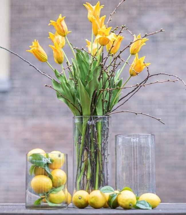 DutZ Cilinder C3 | Helder | H19xD15 cm