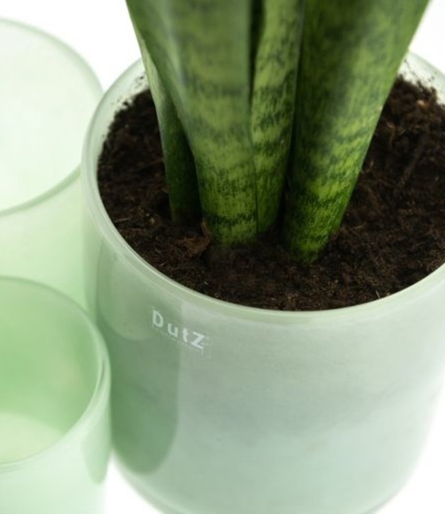 DutZ Cilinder Vaas | Menthol | H11xD11 cm