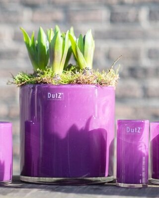 DutZ Cilinder Vaas | Violet | H10xD10 cm