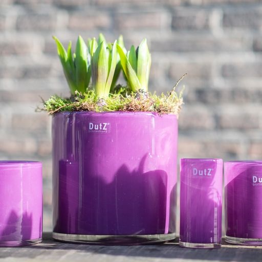 DutZ Cilinder Vaas | Violet | H10xD10 cm