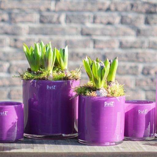 DutZ Cilinder Vaas | Violet | H10xD10 cm