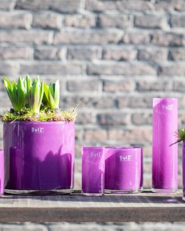 DutZ Cilinder Vaas | Violet | H10xD10 cm