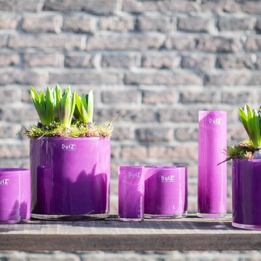 DutZ Cilinder Vaas | Violet | H10xD10 cm