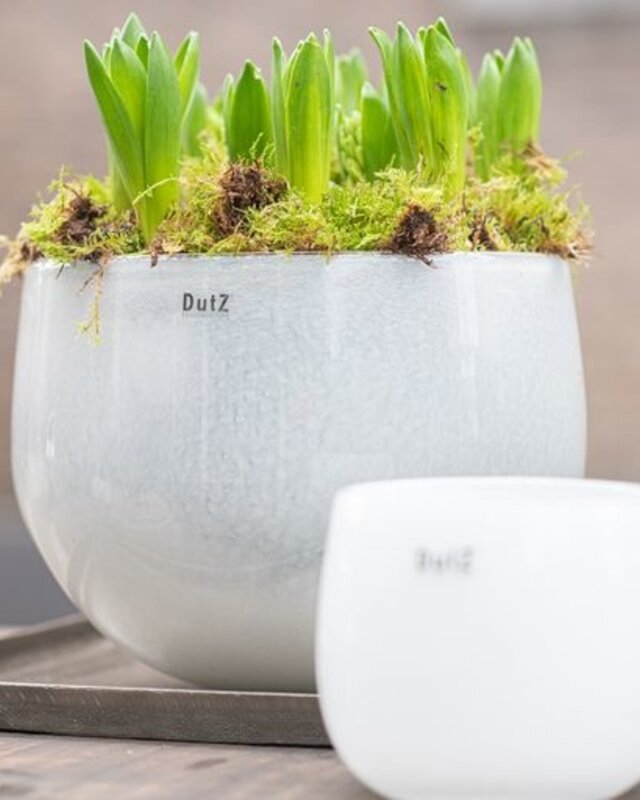 DutZ Pot | Wit | 4 Maten