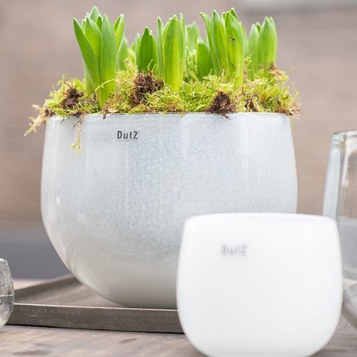 DutZ Pot | Wit | 4 Maten
