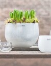 DutZ Pot | Wit | 4 Maten