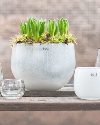 DutZ Pot | Wit | 4 Maten
