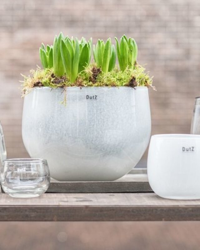 DutZ Pot | Wit | 4 Maten