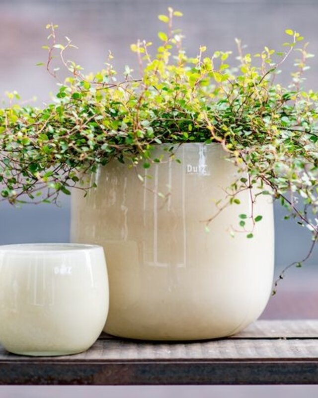 DutZ Pot | Beige | H14 x D16 cm