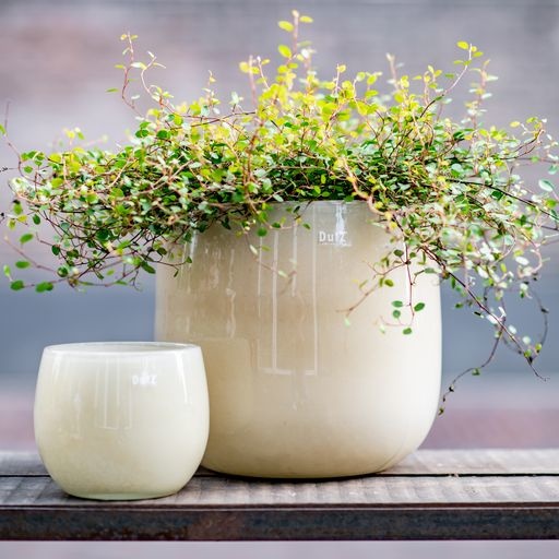 DutZ Pot | Beige | H14 x D16 cm
