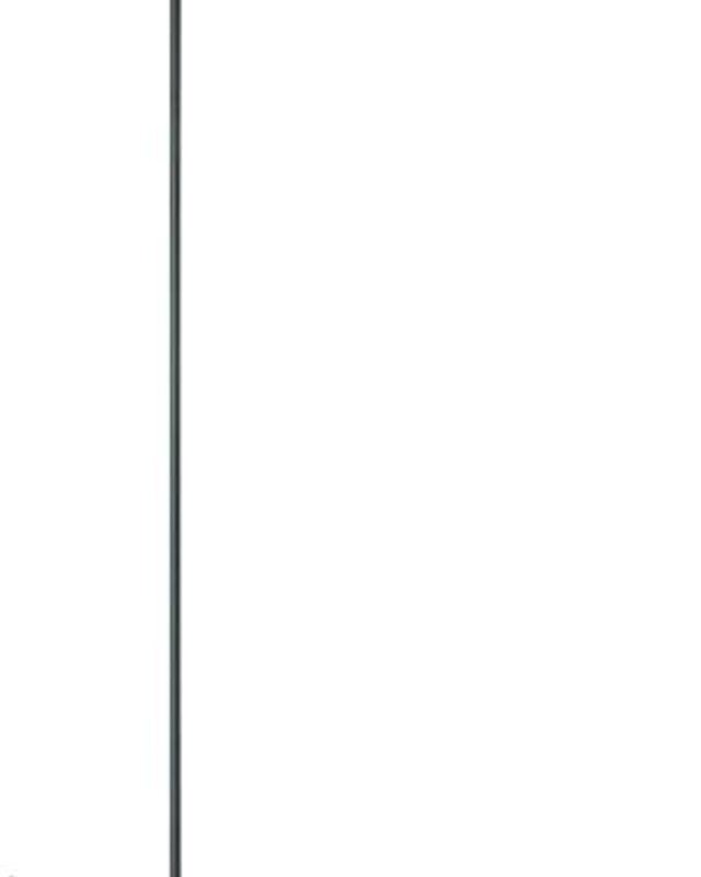 Frezoli Spezia Vloerlamp | Mat Zwart | H140 cm