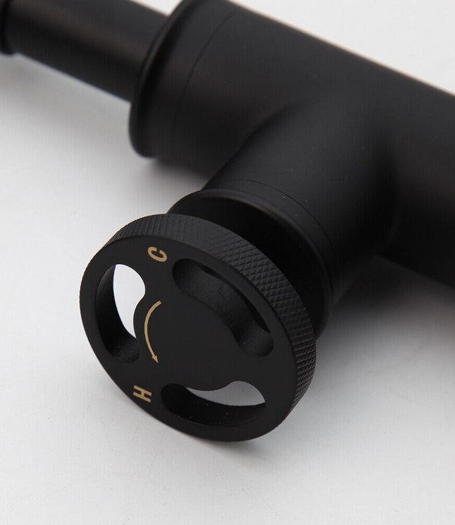 Rene Houtman Industriële Zwarte Mengkraan