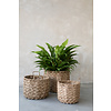 The Hoi An Basket - Naturel - L