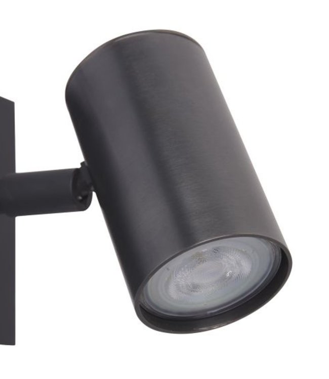 Frezoli Tubino Plafondspot met Zwart/Bruine Kap | Mat Zwart