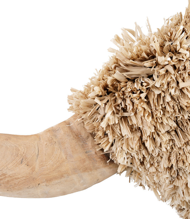 Bazar Bizar De Raffia Toro - Natural