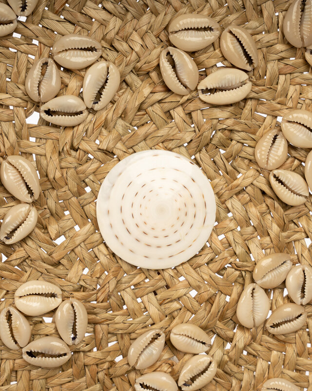 Bazar Bizar De Caribe Shell Plaat - Naturel Wit - M