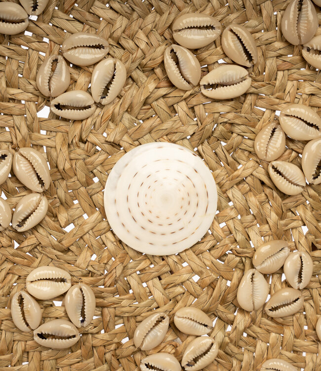 Bazar Bizar De Caribe Shell Plaat - Naturel Wit - M
