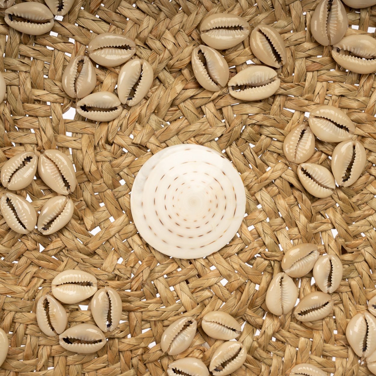 Bazar Bizar De Caribe Shell Plaat - Naturel Wit - M